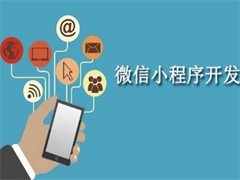 上海青浦软件开发 手机应用开发的机遇与挑战